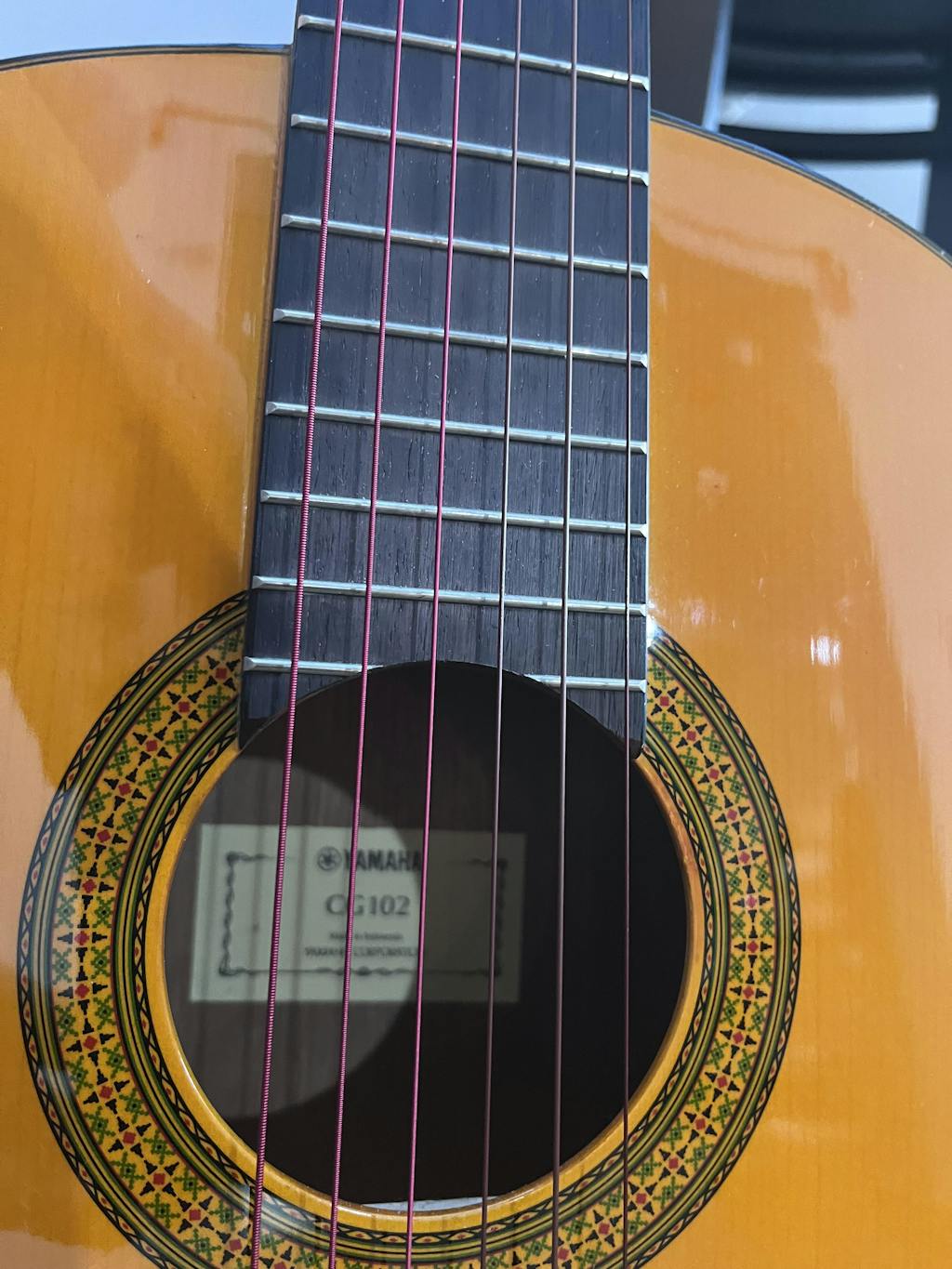 Aquila Rubino Encordando