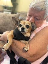 Dog tag pendant with necklace: Stainless steel octagon dog tag necklac