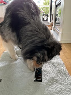 entoVITAL DOG vitamin boost