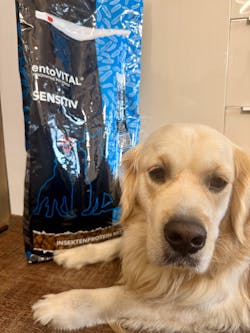 entoVITAL DOG SENSITIV