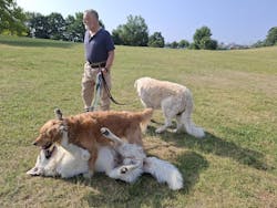 entoVITAL DOG stop&go - Nahrungsergänzung