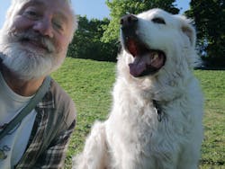 entoVITAL DOG detox - Nahrungsergänzung