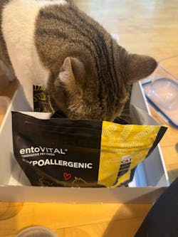 entoVITAL CAT vitamin boost