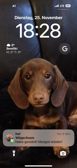 entoVITAL DOG Soft Snacks Hypoallergenic