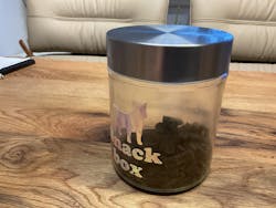 entoVITAL DOG Soft Snacks Hypoallergenic