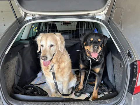 entoVITAL DOG Soft Snacks Hypoallergenic