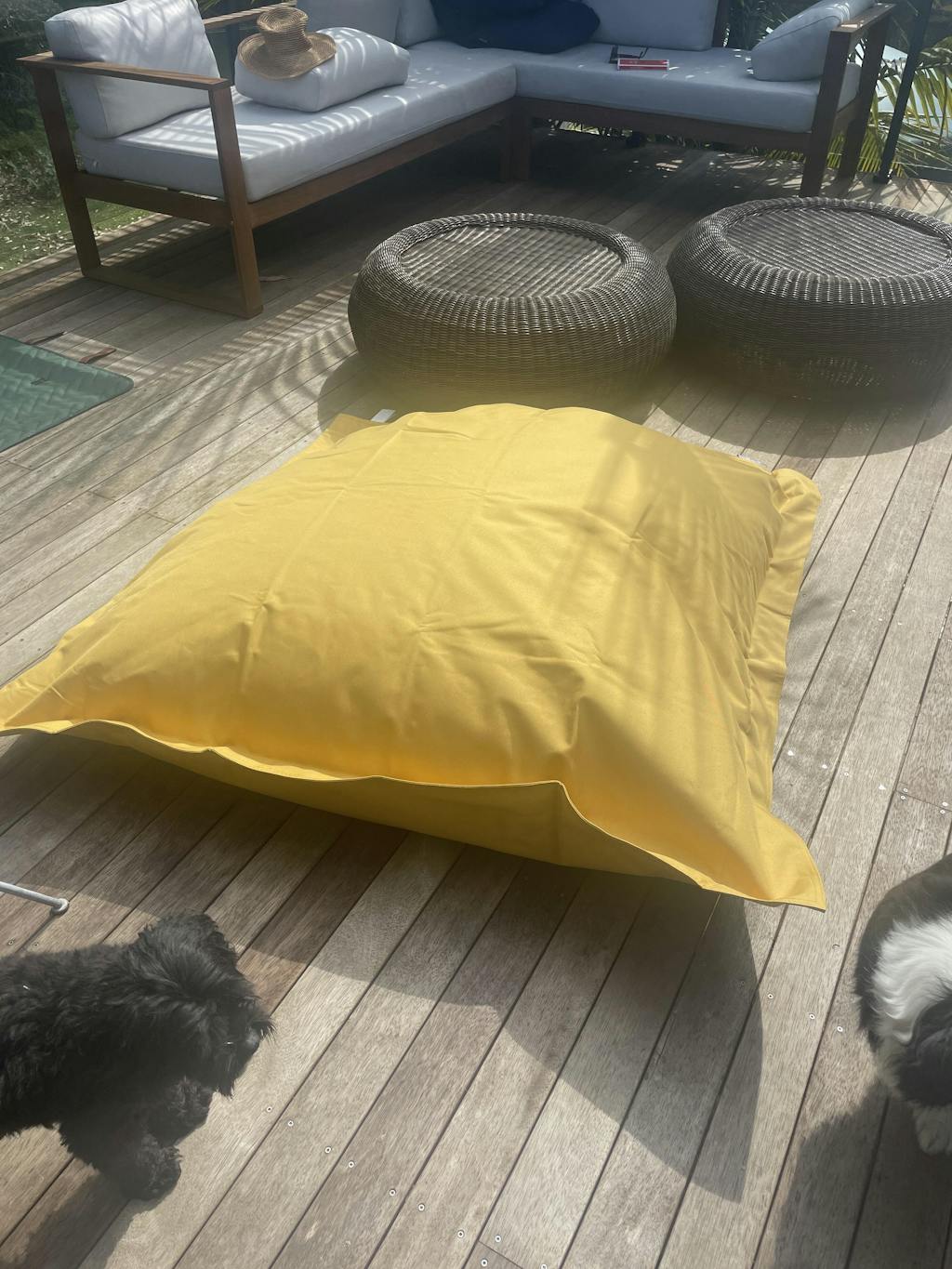 Ecofriendly Bean Bag Beans Envee Beans