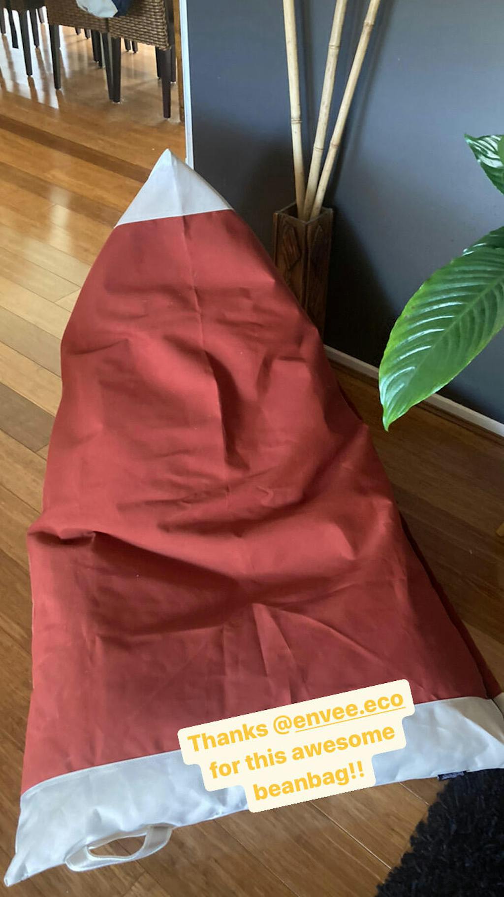 Ecofriendly Bean Bag Beans Envee Beans