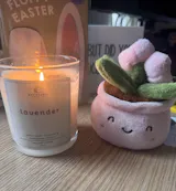 Lavender (Best Seller) • Vela Aromática Artesanal • 8oz