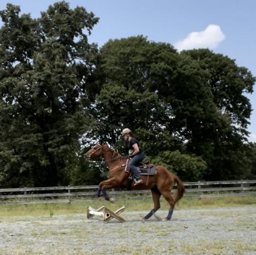 Equestrian Apparel] Acheter en ligne : Hermès Equitation