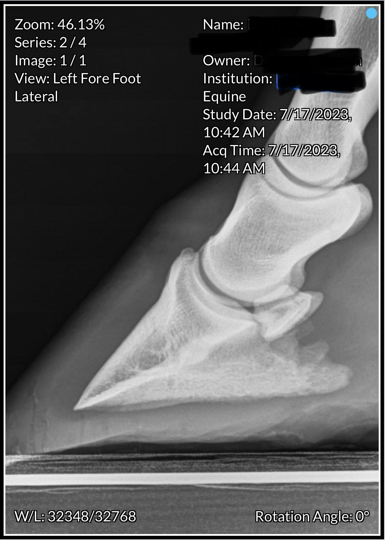 thumbnail image 2 of Equinety Horse XL Supplement - 15 Day Supply For Equine Health & Recovery 2 of 6