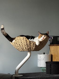 ERGO PURRCH - The Sustainable Desk-Mounted Cat Bed