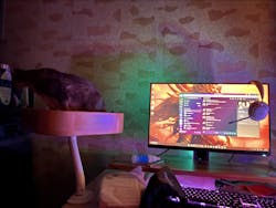 ERGO PURRCH - The Sustainable Desk-Mounted Cat Bed