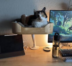ERGO PURRCH - The Sustainable Desk-Mounted Cat Bed