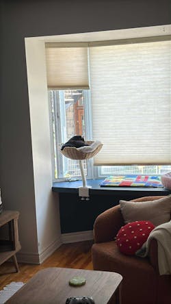 ERGO PURRCH - The Sustainable Desk-Mounted Cat Bed