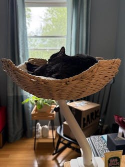 ERGO PURRCH - The Sustainable Desk-Mounted Cat Bed