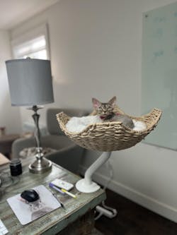 ERGO PURRCH - The Sustainable Desk-Mounted Cat Bed