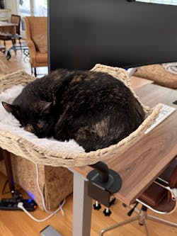 ERGO PURRCH - The Sustainable Desk-Mounted Cat Bed