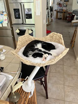 ERGO PURRCH - The Sustainable Desk-Mounted Cat Bed