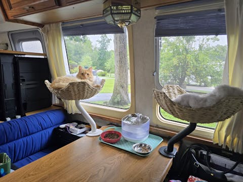 ERGO PURRCH - The Sustainable Desk-Mounted Cat Bed