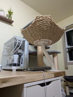 ERGO PURRCH - The Sustainable Desk-Mounted Cat Bed