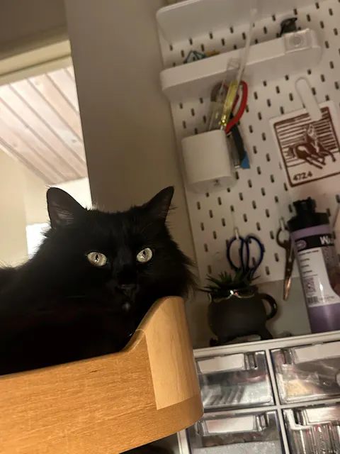 ERGO PURRCH - The Sustainable Desk-Mounted Cat Bed