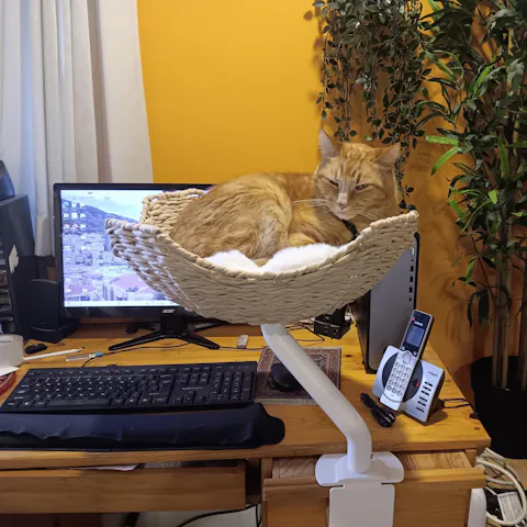 ERGO PURRCH - The Sustainable Desk-Mounted Cat Bed
