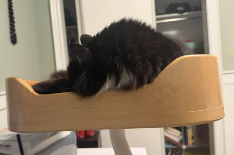 ERGO PURRCH - The Sustainable Desk-Mounted Cat Bed