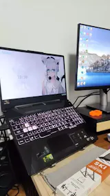 User picture