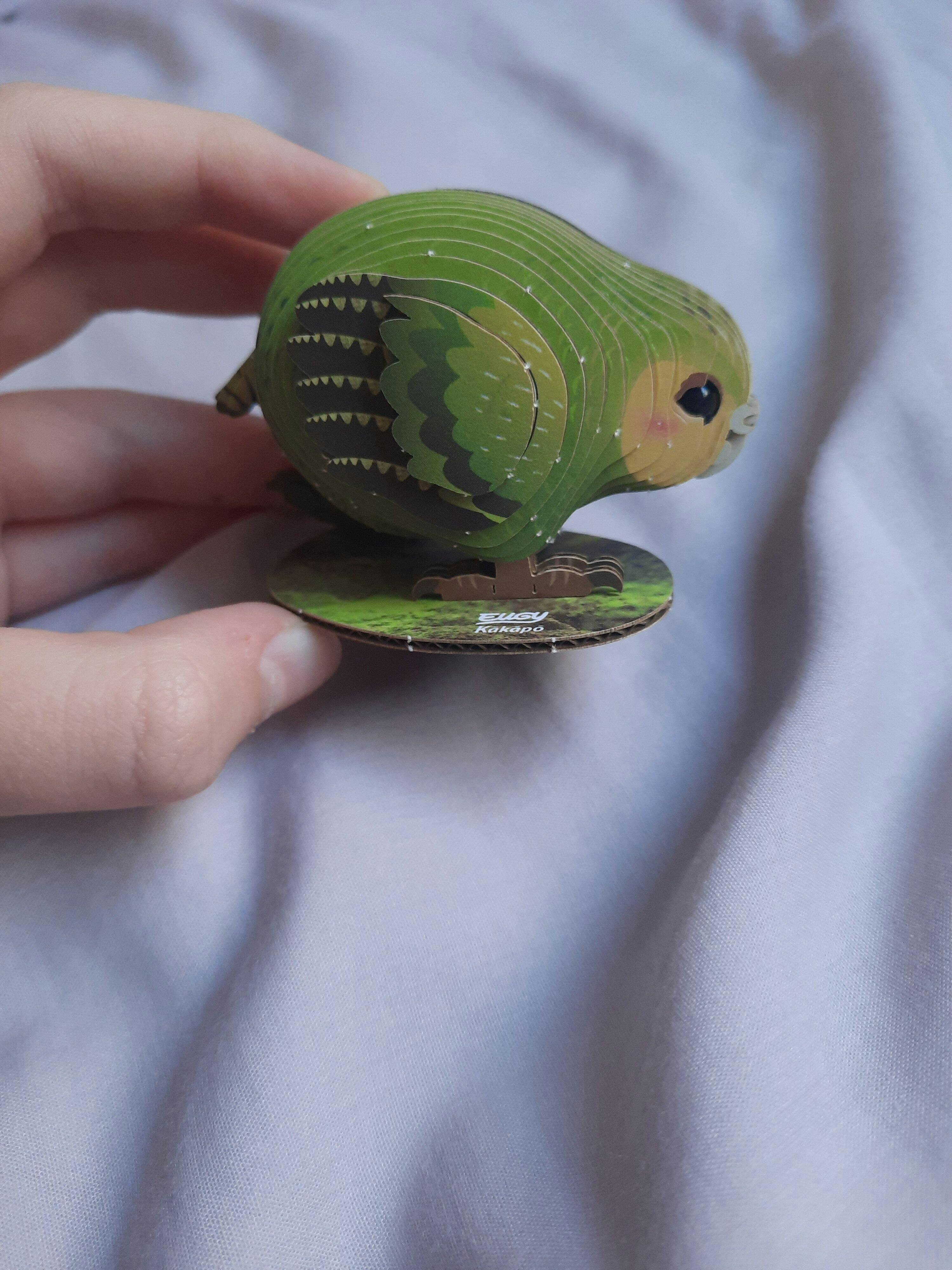 099 Kākāpō – EUGY