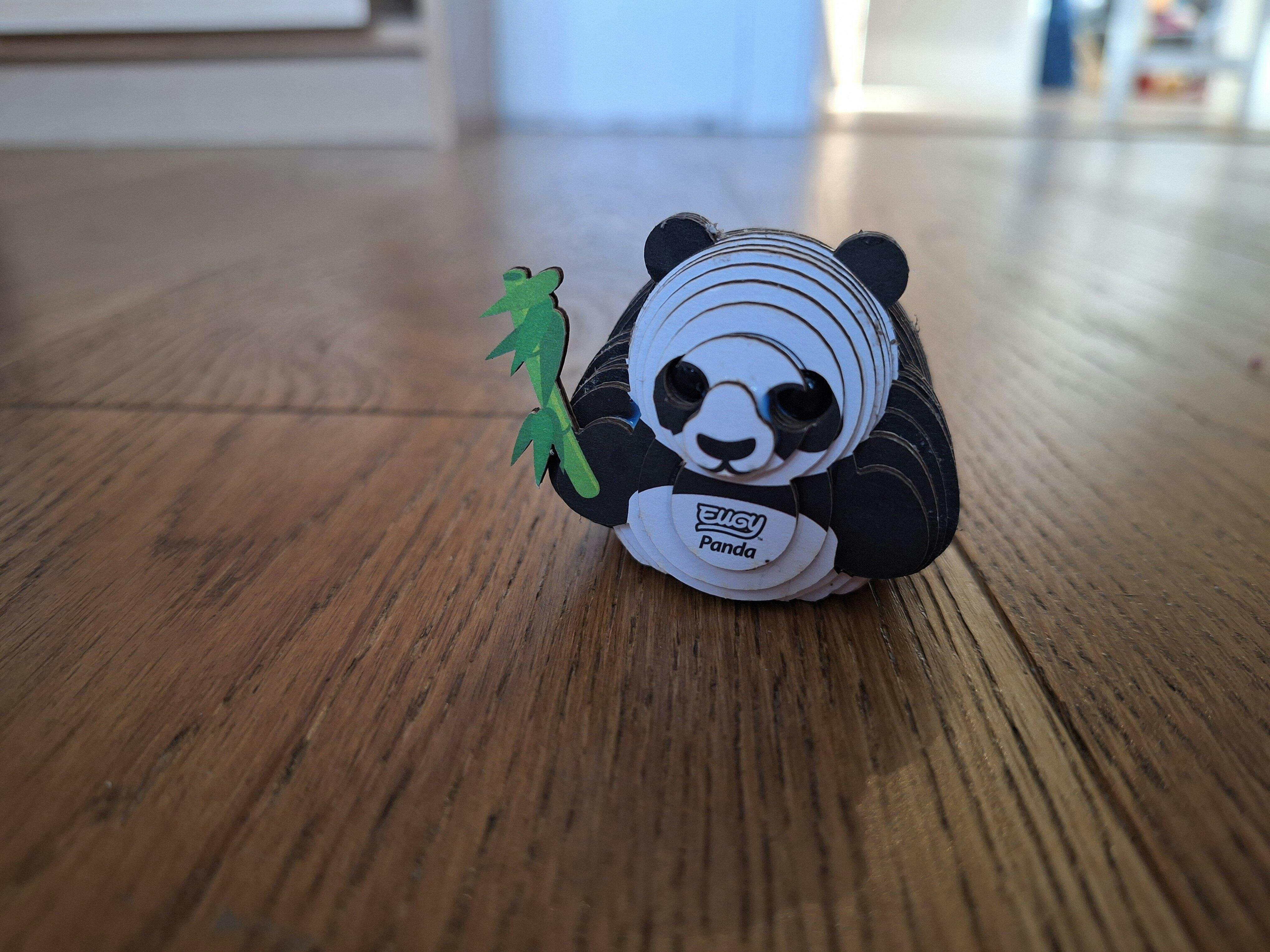 013 Panda – EUGY