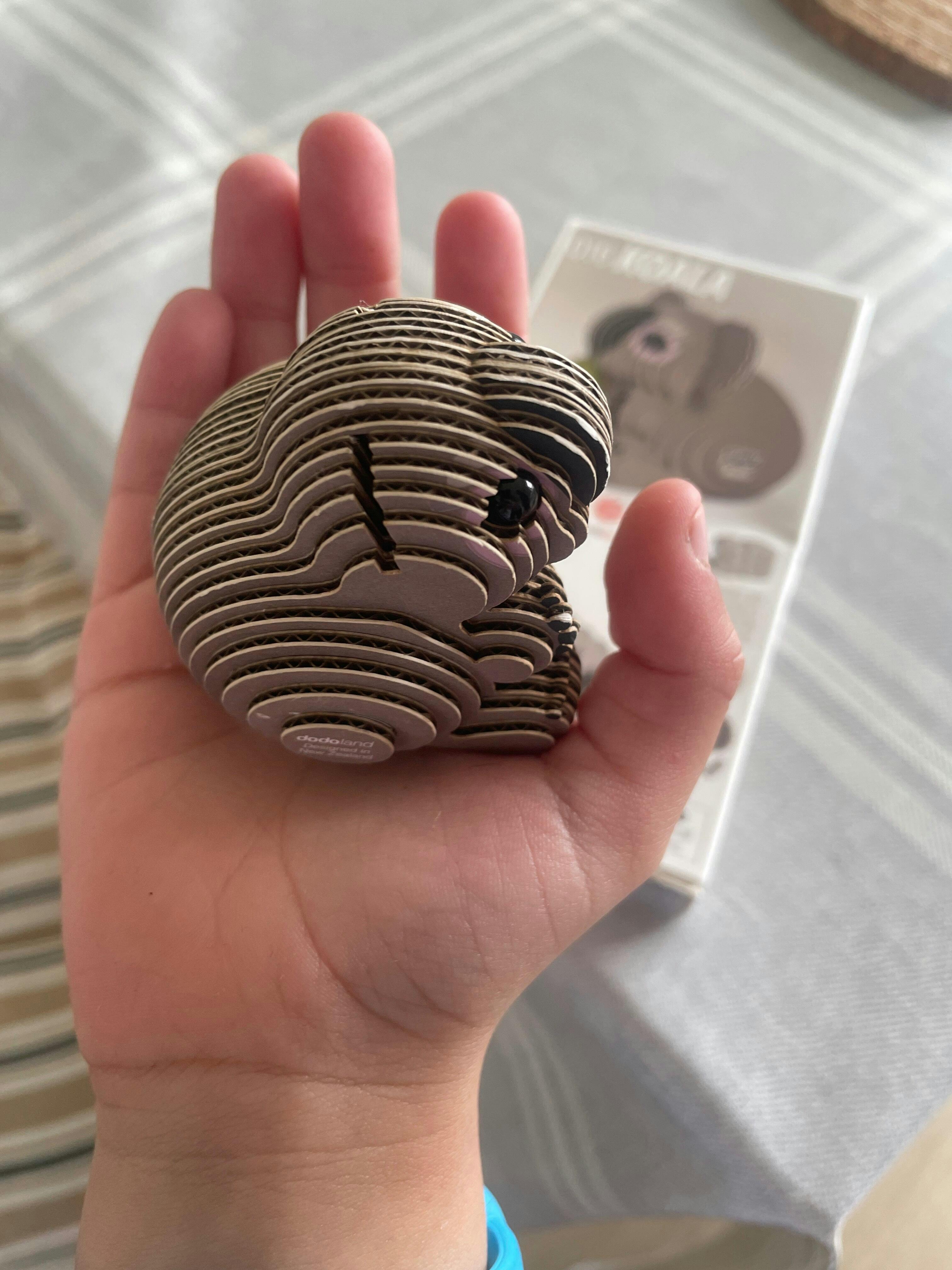 016 Koala – EUGY