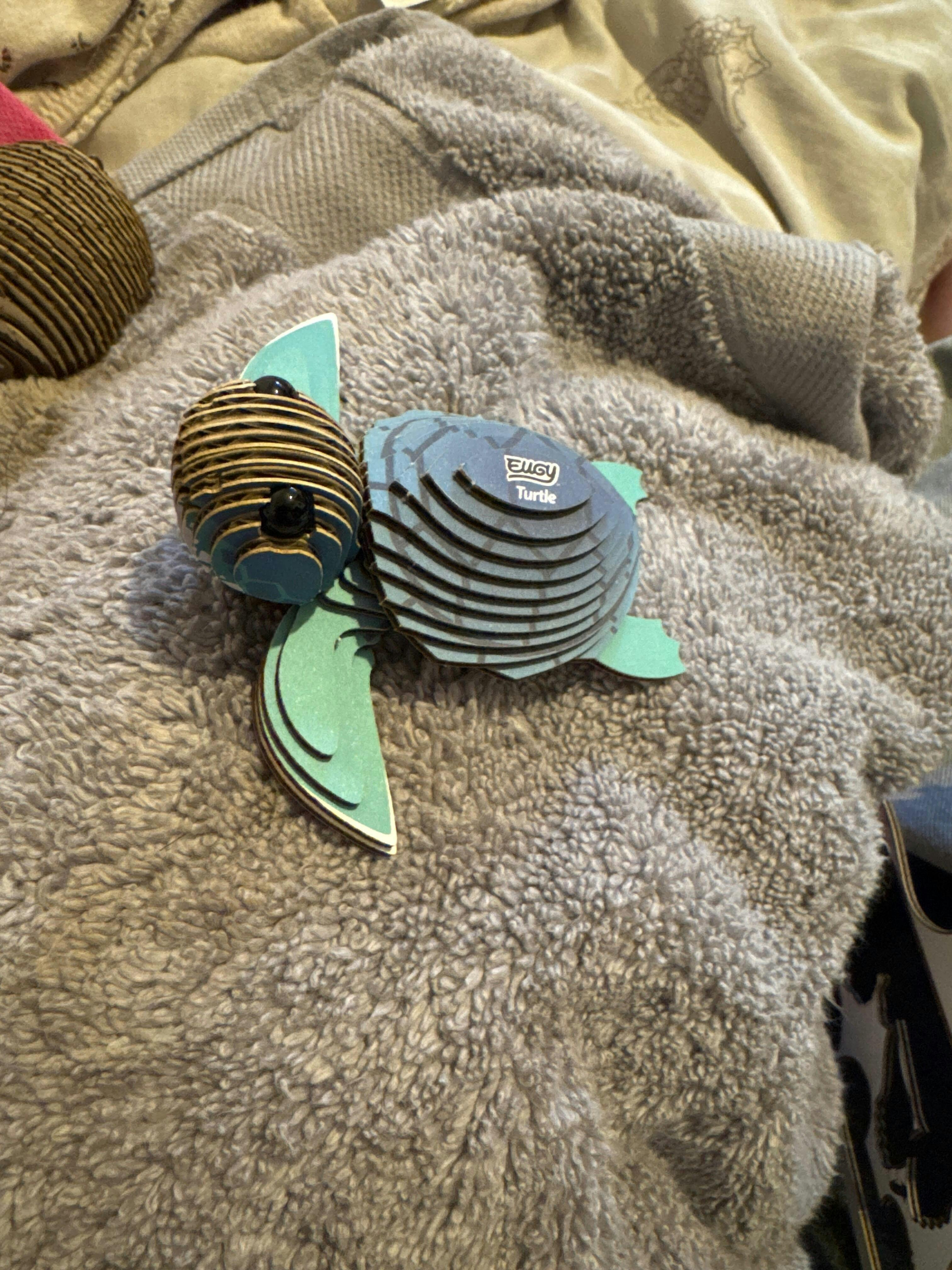 038 Turtle – EUGY