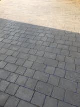 Immagine dell'utente