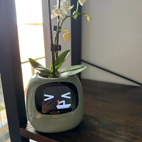IVY Smart Flower Pot
