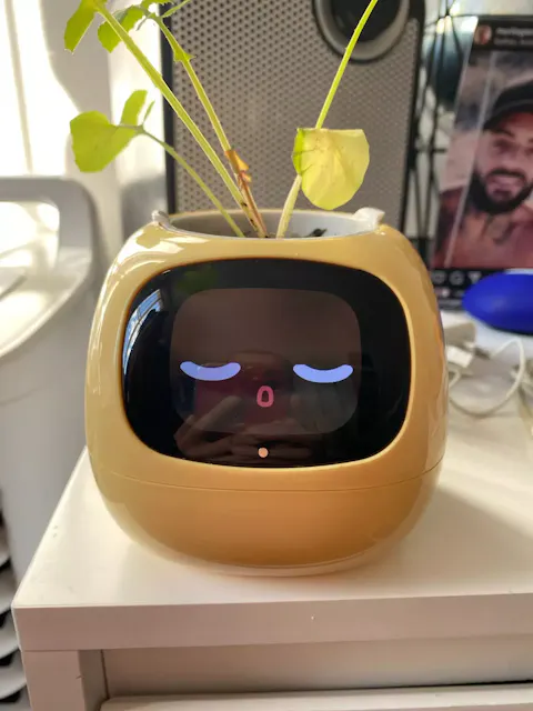 IVY Smart Flower Pot