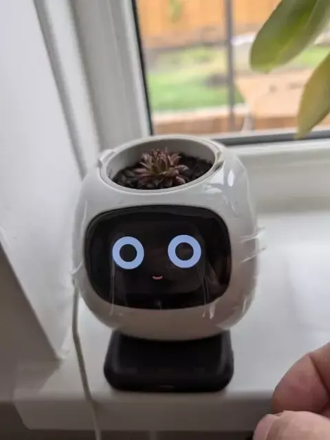 IVY Smart Flower Pot