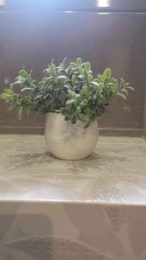 Colorful Succulent Pot