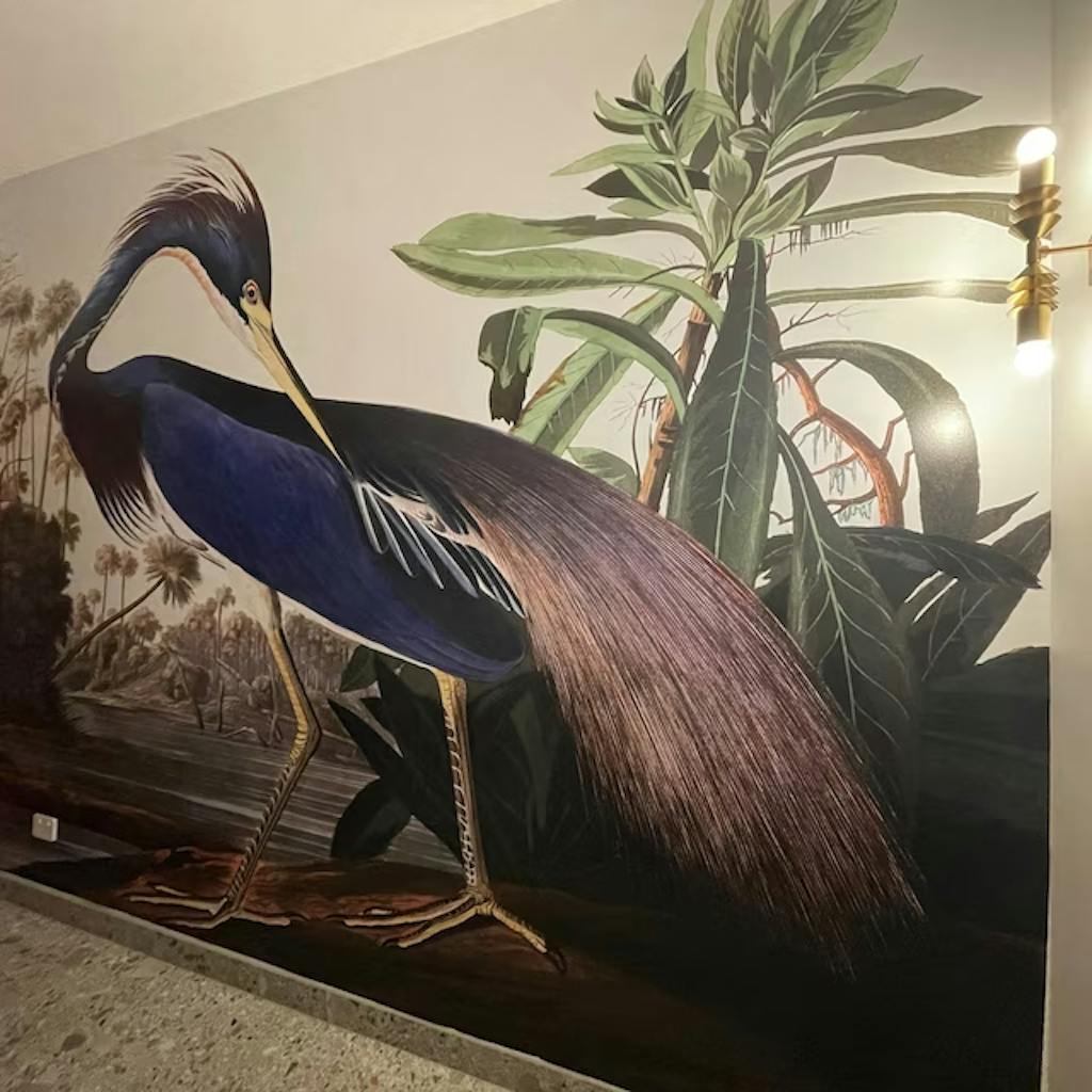 Blue Heron Wallpaper Mural Heron Wallpaper UK