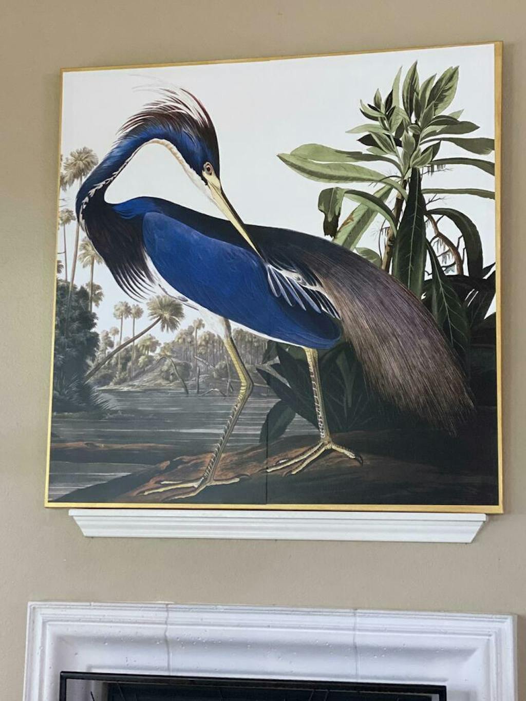 Blue Heron Wallpaper Mural Heron Wallpaper UK
