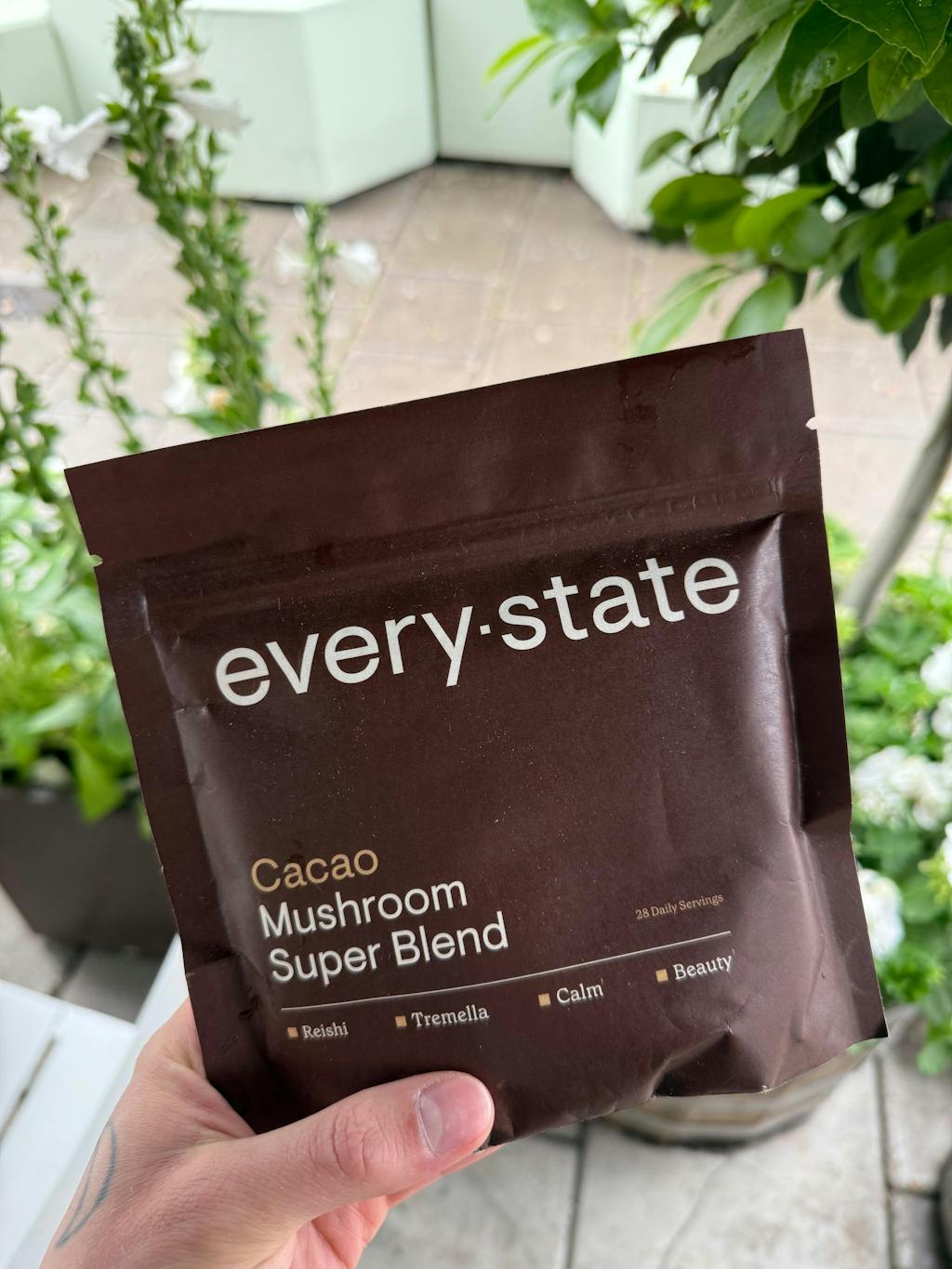 Cacao + Mushroom Super Blend