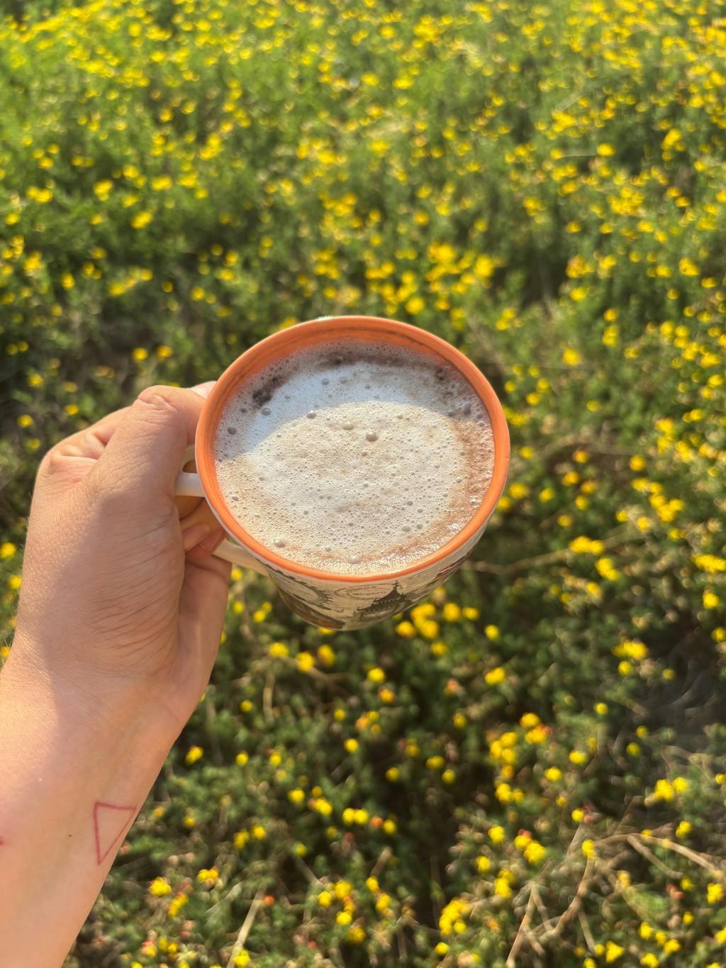 Cacao + Mushroom Super Blend