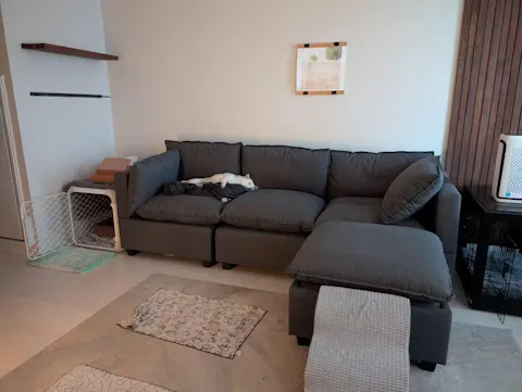 5 Piece L-Shape + Ottoman | Everyone Dream Sofa