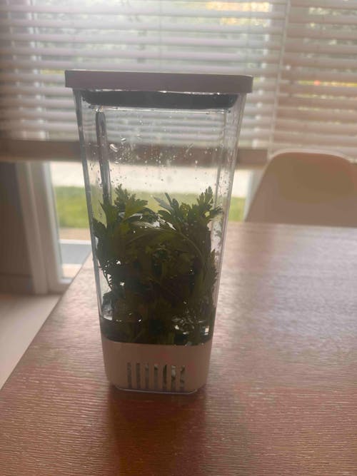 Yeşillik Saklama Kabı 2'li Eko Set 1,7 Litre