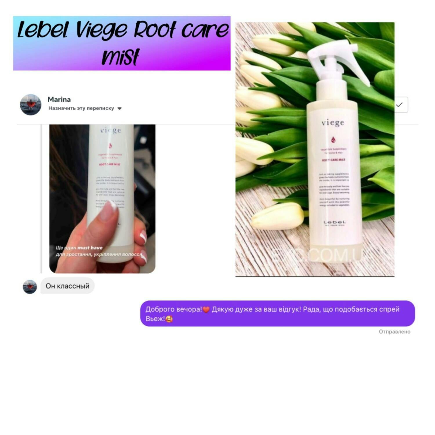 Lebel Viege Root Care Mist - Спрей для укрепления корней волос