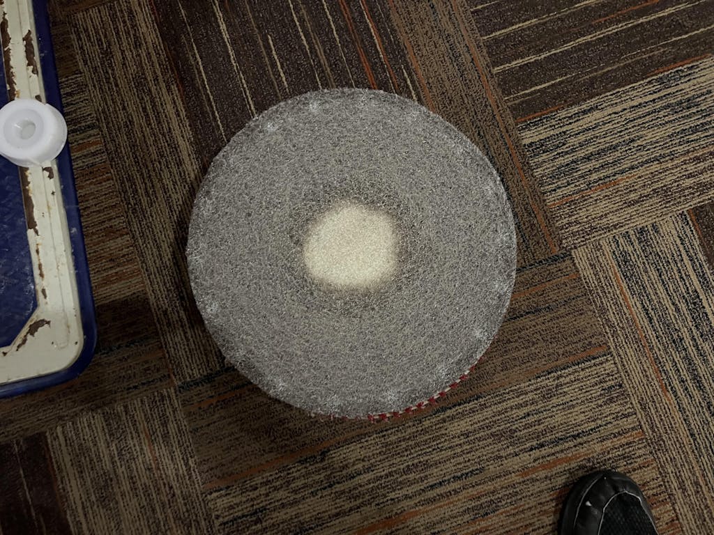 FiberPlus Carpet Cleaning Pads 17 inch (case of 5) —