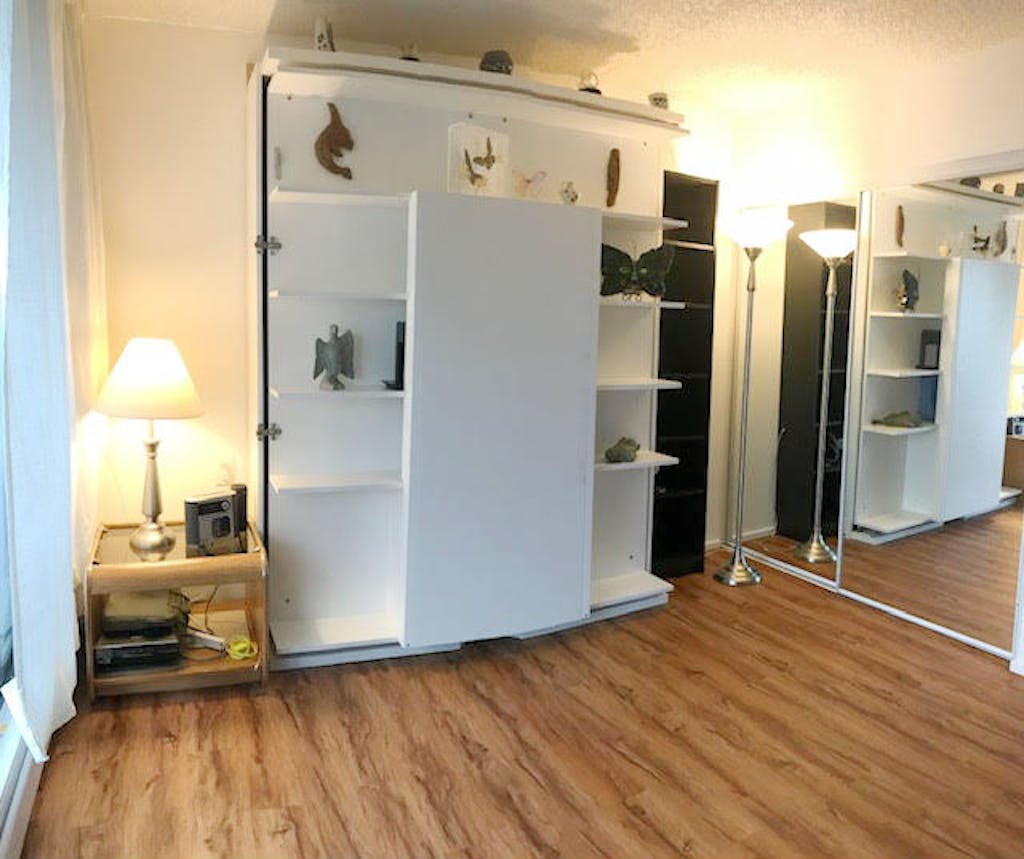 Revolving BookCase Italian Wall Bed Expand Furniture