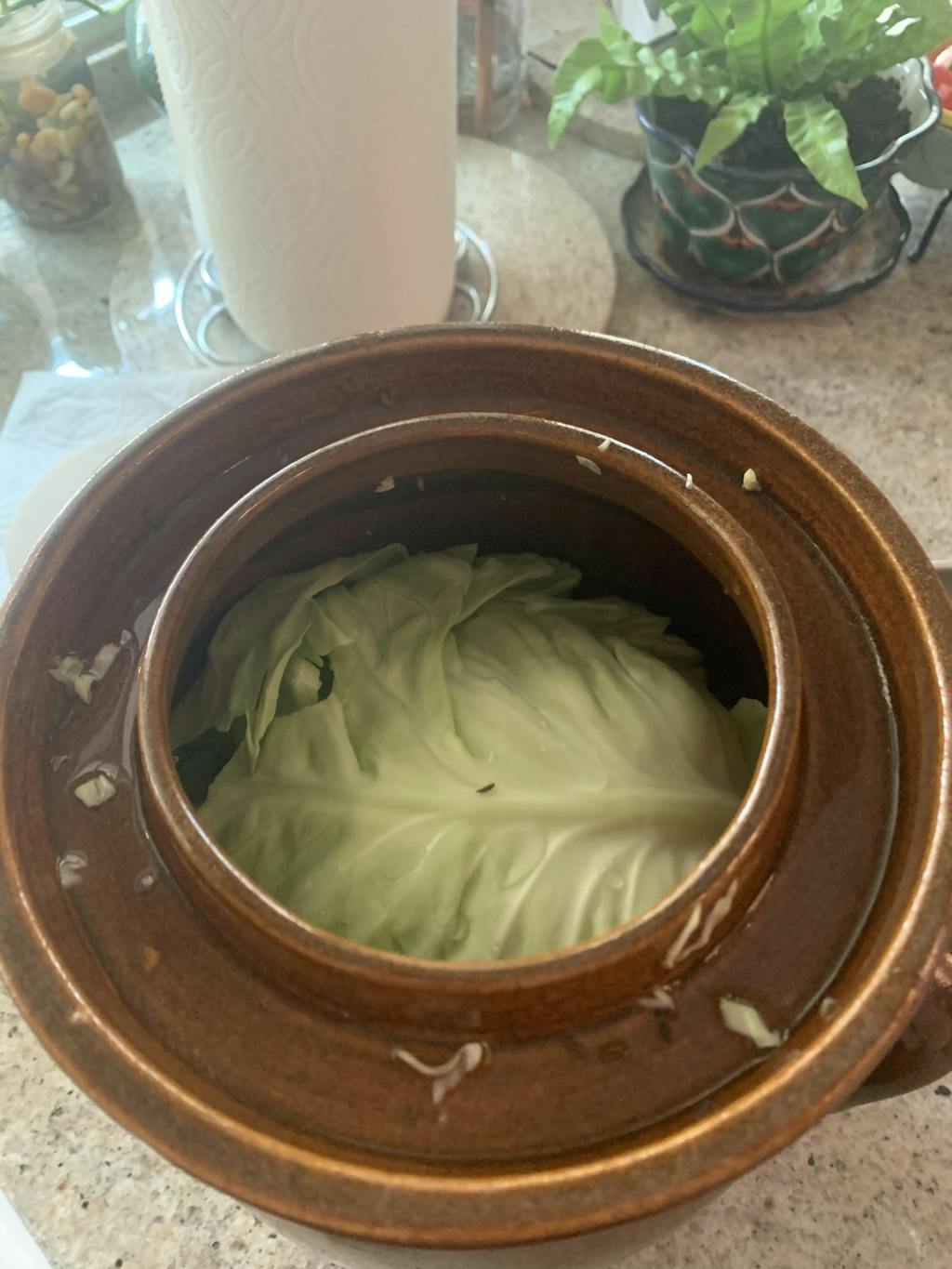 What Vegetables Should Not Be Juiced Extreme Wellness Supply