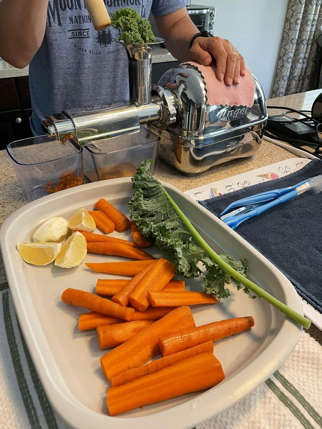 8 Best Masticating (Cold Press) Juicers in 2024 Extreme Wellness Supply