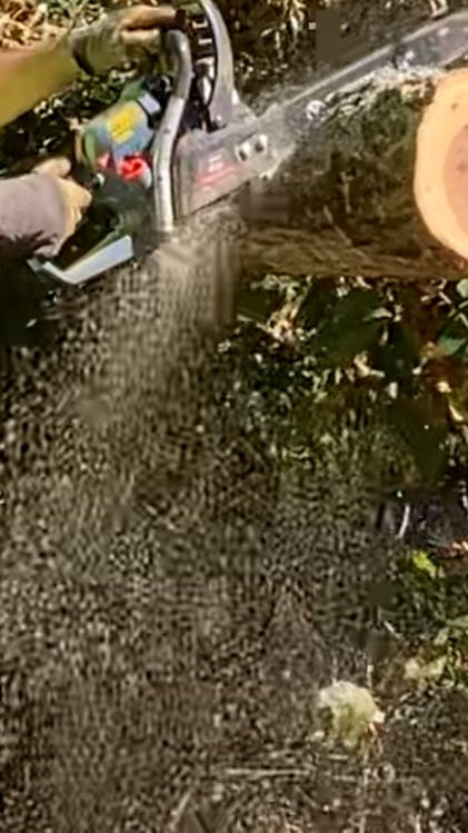 Senix CS4QL-L3 Chainsaw 16-inch 46cc 4-Cycle Gas Powered